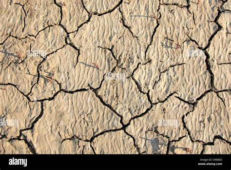 Parched soil hi-res stock photography and images - Alamy