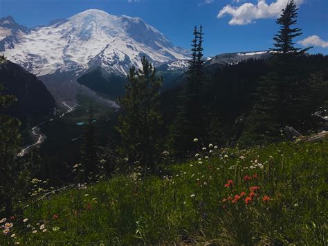 Majestic view of Mount Rainier from the Sunrise visitor center : hiking