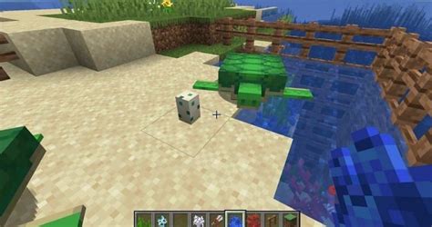 How to get turtle eggs in Minecraft