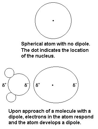 what is dipole induced dipole - 3997386 | Meritnation.com