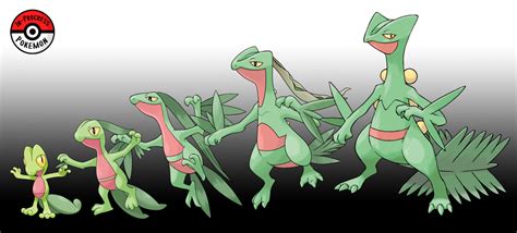 In-Progress Pokemon Evolutions | #252.5 - Treecko are very fast and capable...