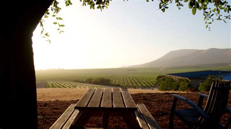 Top 10 Santa Maria Valley Wineries in Santa Barbara County | The JetSetting Fashionista