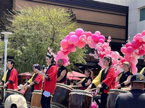 Photo Gallery: Cherry Blossom Festival – WCHS Insight