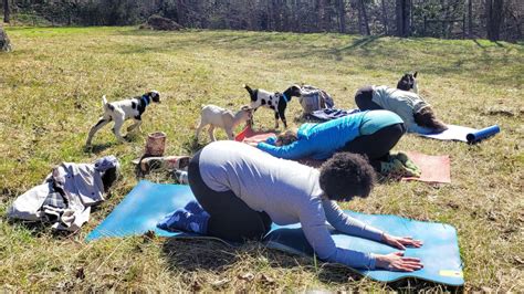 Baby Goat Yoga - The Laurel of Asheville