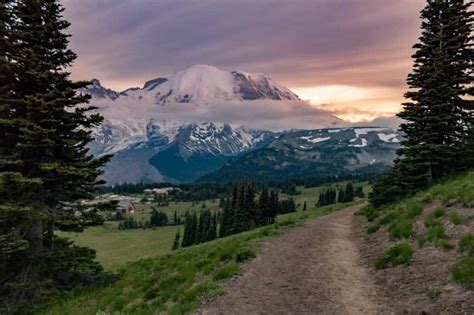 6 Best Mount Rainier Hikes & Trails | The National Parks Experience