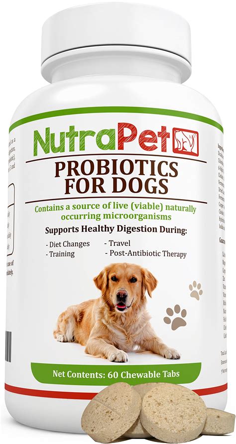 Probiotics for Dogs Chewable Best for Smelly Gas and Diarrhea R... Free ...