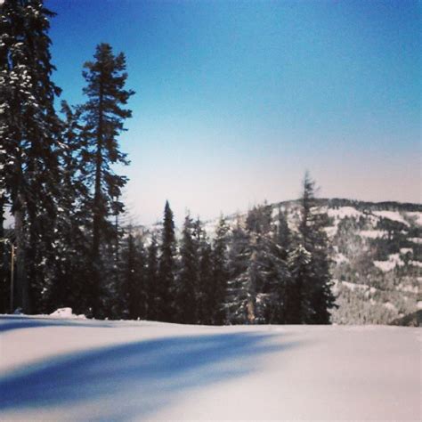 Bluewood | Ski Trip Deals, Snow Quality, Forecast