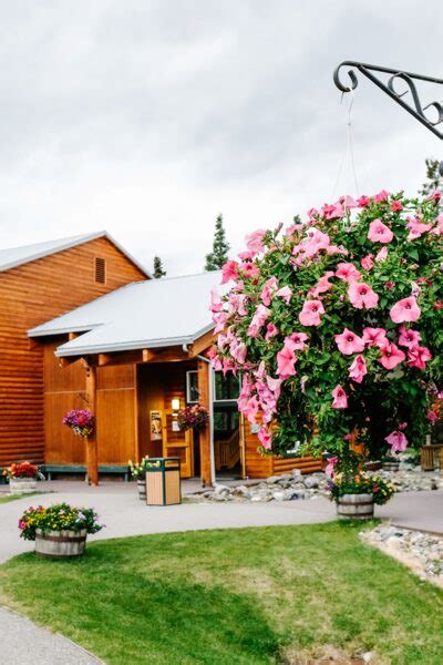 The Lodge at Denali Park Village | AlaskaTravel.com