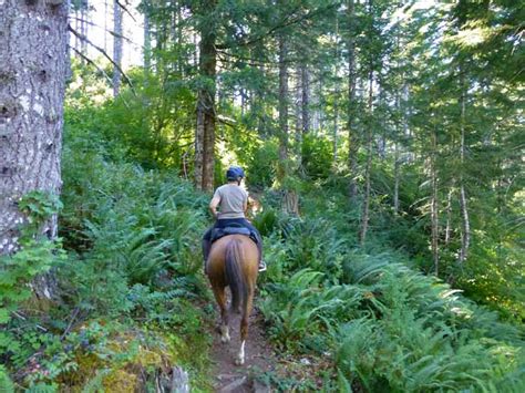 Gales Creek Trail at Reehers Camp – NW Horse Trails