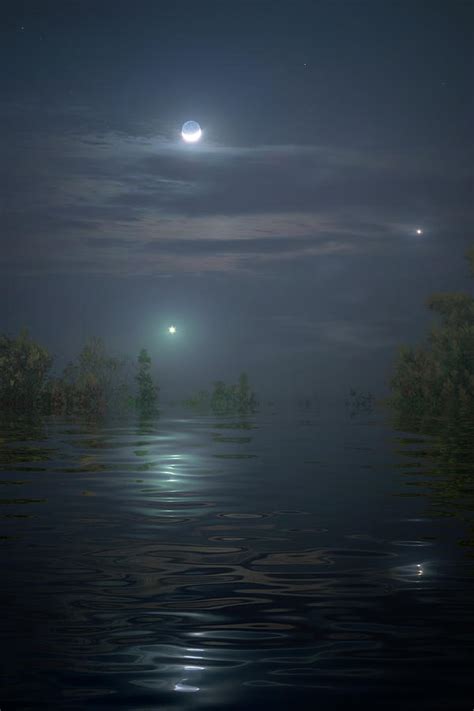 Swamp Lights Photograph by Mark Andrew Thomas - Fine Art America