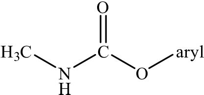 Structure of carbamate insecticides | Download Scientific Diagram