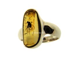 Oval Honey Color Insect #Fossil Amber Ring Set in Sterling Silver | Fossil ring, Fossil jewelry ...