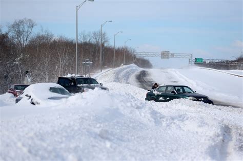 Snow Long Island 2024 - Erin Odessa