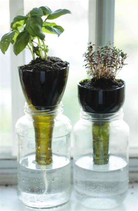 Little Projectiles: Self-Watering Glass Planters