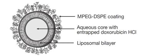 Doxorubicin Liposomal - FDA prescribing information, side effects and uses