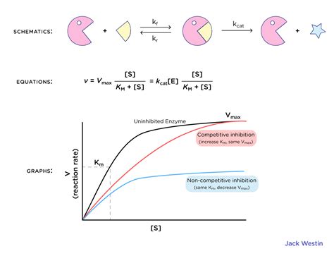 Kinetics - Control Of Enzyme Activity - MCAT Content