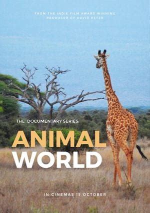 Wildlife Documentary Poster Template and Ideas for Design | Fotor