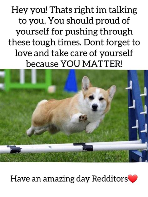 I believe in you : r/wholesomememes