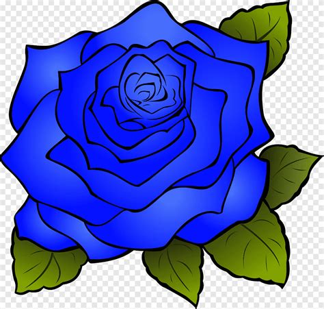 Rose Cartoon Drawing, blue flowers, leaf, plant Stem png | PNGEgg