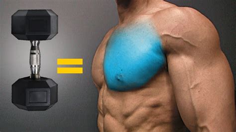 The BEST Dumbbell Exercises - CHEST EDITION! - Fitness Armies