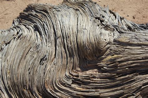 Free Images : texture, trunk, natural, swirl, close up, sculpture, art, geology, design, temple ...
