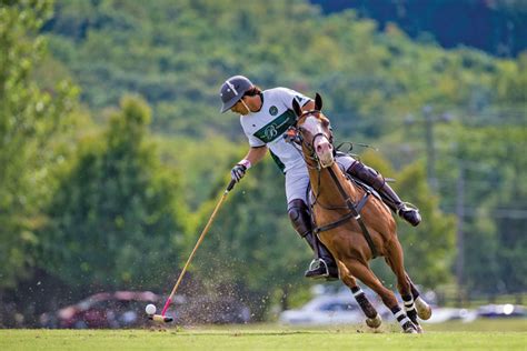 Why polo, the sport of kings is no longer reserved for royalty