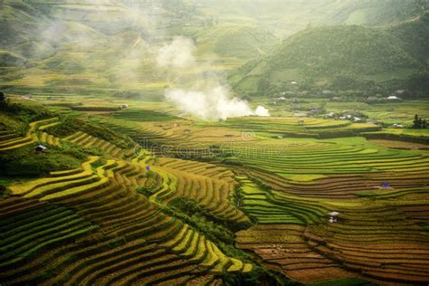 Rice Terraces and Agricultural Areas in Vietnam Stock Photo - Image of ...