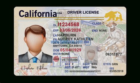 Drivers License Psd Template – Buy Fake Id Photoshop with regard to Blank Drivers License ...