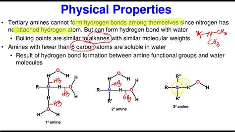 Amines: Physical Properties - YouTube