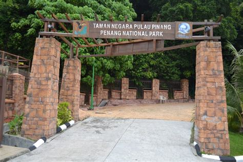 Hiking di Taman Negara Pulau Pinang - Amirul