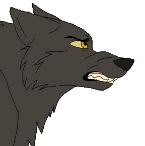 GRAY WOLF IN THE GREEN WOODS,,,, animation site and more!!!!: wolf animations( short)