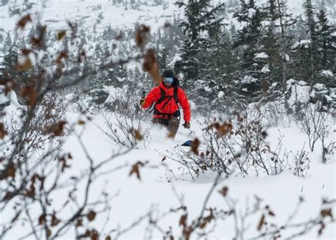 The Early Season Snowpack: How It Affects Your Winter - Beyond Our Peak