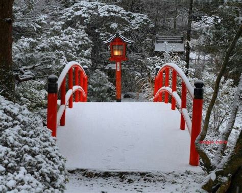 Snow covered bridge | Winter schnee, Winterbilder, Winter