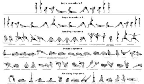 Vinyasa flow yoga sequence includes a link to pdf called for digestion yogi david kyle what is ...