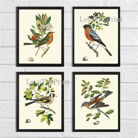 Vintage Bird Wall Art Print Set of 4 Beautiful Nature Bedroom Office ...