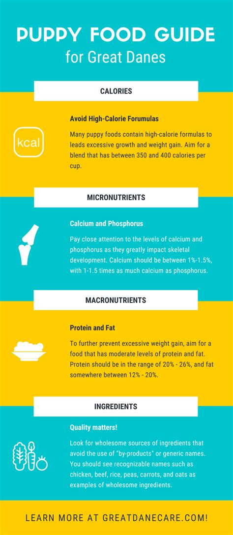 If you have questions about what type of food that you should be ...