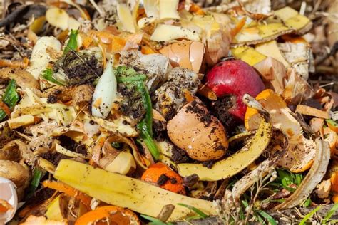 Organic Waste Recycling – Harvest Recycling