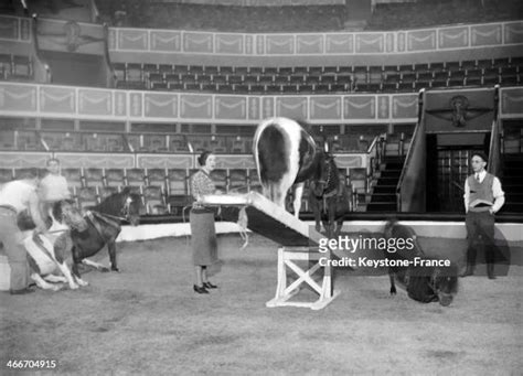 Maria Rasputin Photos and Premium High Res Pictures - Getty Images