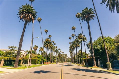 Mulholland Drive in Los Angeles - The Scenic Drive That Will Make You ...