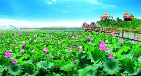 Hebei set to sharpen its cultural edge|news|chinadaily.com.cn