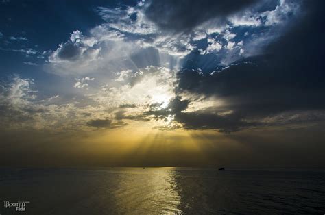 Free stock photo of cloud, Gaza, gold