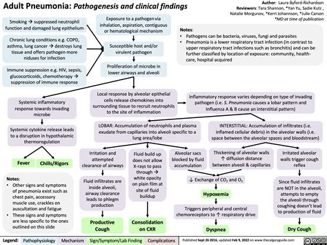 adult-pneumonia-pathogenesis-and-clinical-findings | Calgary Guide