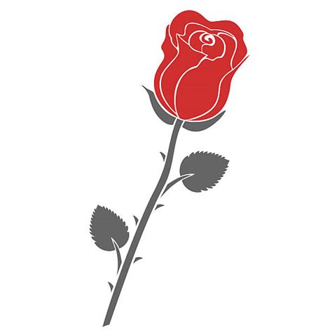 Rose Thorn Clip Art, Vector Images & Illustrations - iStock