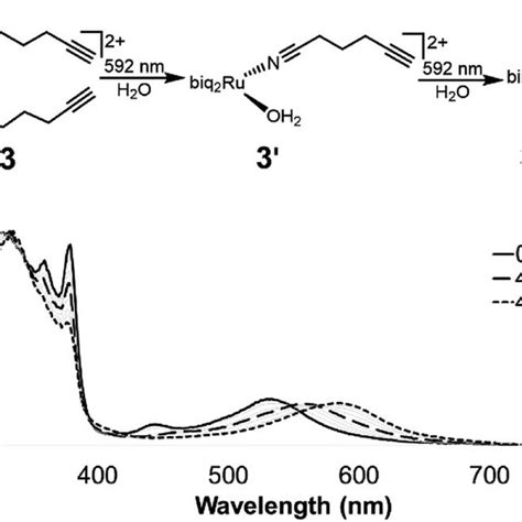 Photolysis of 3 in water. (A) Compounds 1-3 undergo a stepwise ligand ...