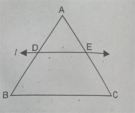 Please solve this with Thales Theorem? - Brainly.in