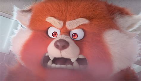 Школьница становится пандой в тизере нового мультфильма Pixar «Я краснею»