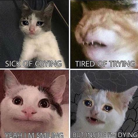 crying | I'm Sick Of Crying But Inside I'm Dying | Know Your Meme