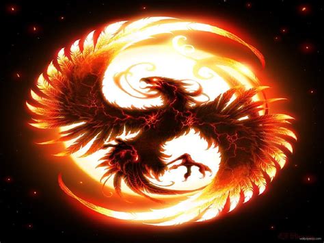 Fire Dragon Wallpapers - Wallpaper Cave