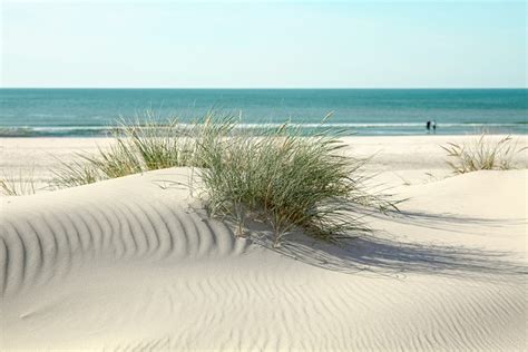 Beach Sand Dunes Gentle Dune - Free photo on Pixabay - Pixabay