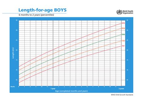 Who Boys Growth Chart: Length-For-Age, 6 Months to 2 Years (Percentiles ...